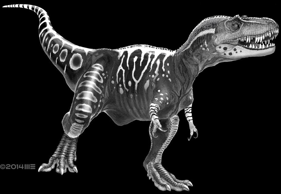 Youth Albertosaurus in Black & White T-Shirt