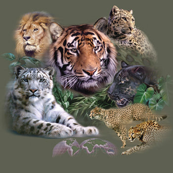 Women's Big Cats T-Shirt (Tiger. lion and other big cats)