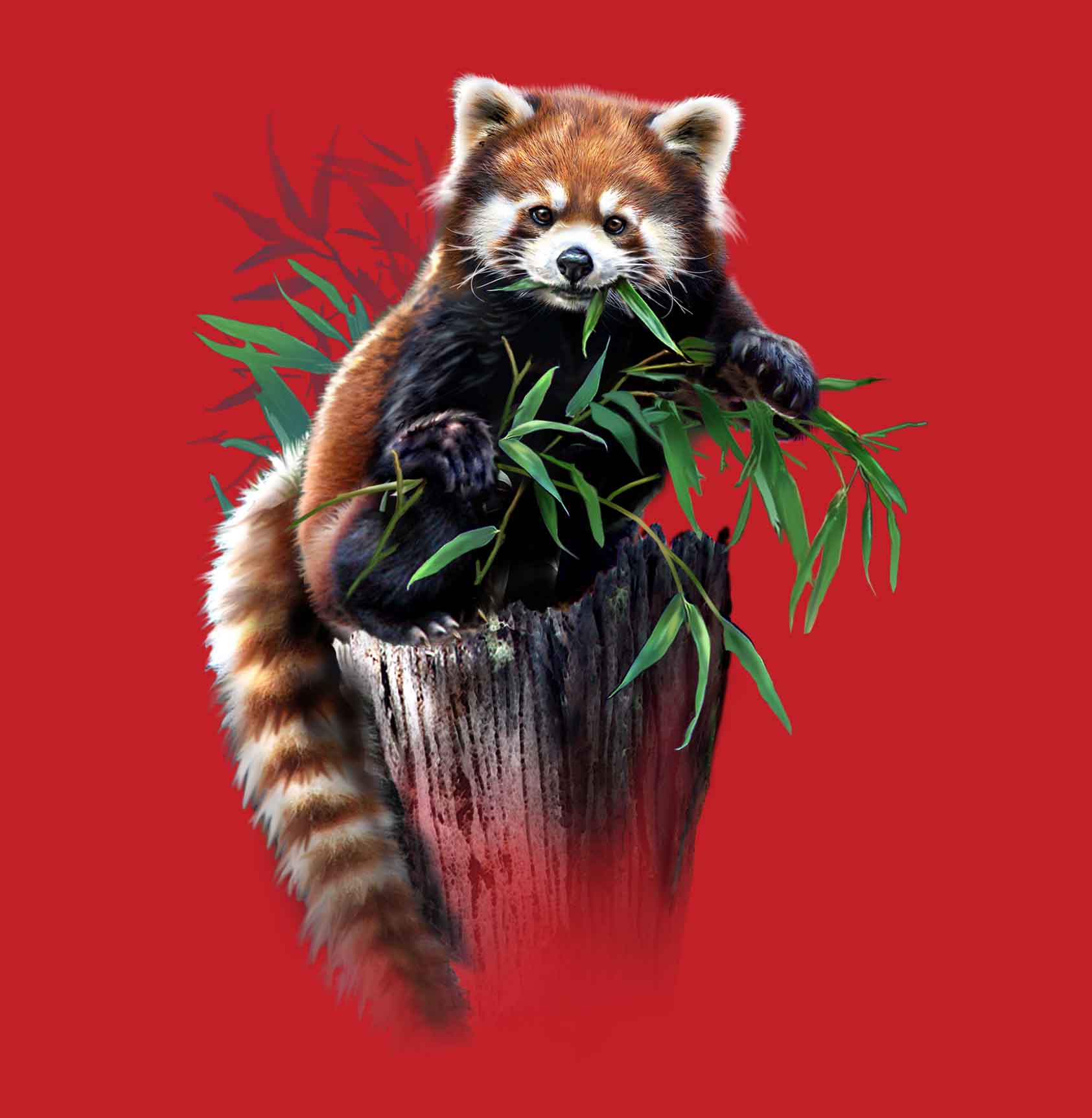 Children's Red Panda T-Shirt