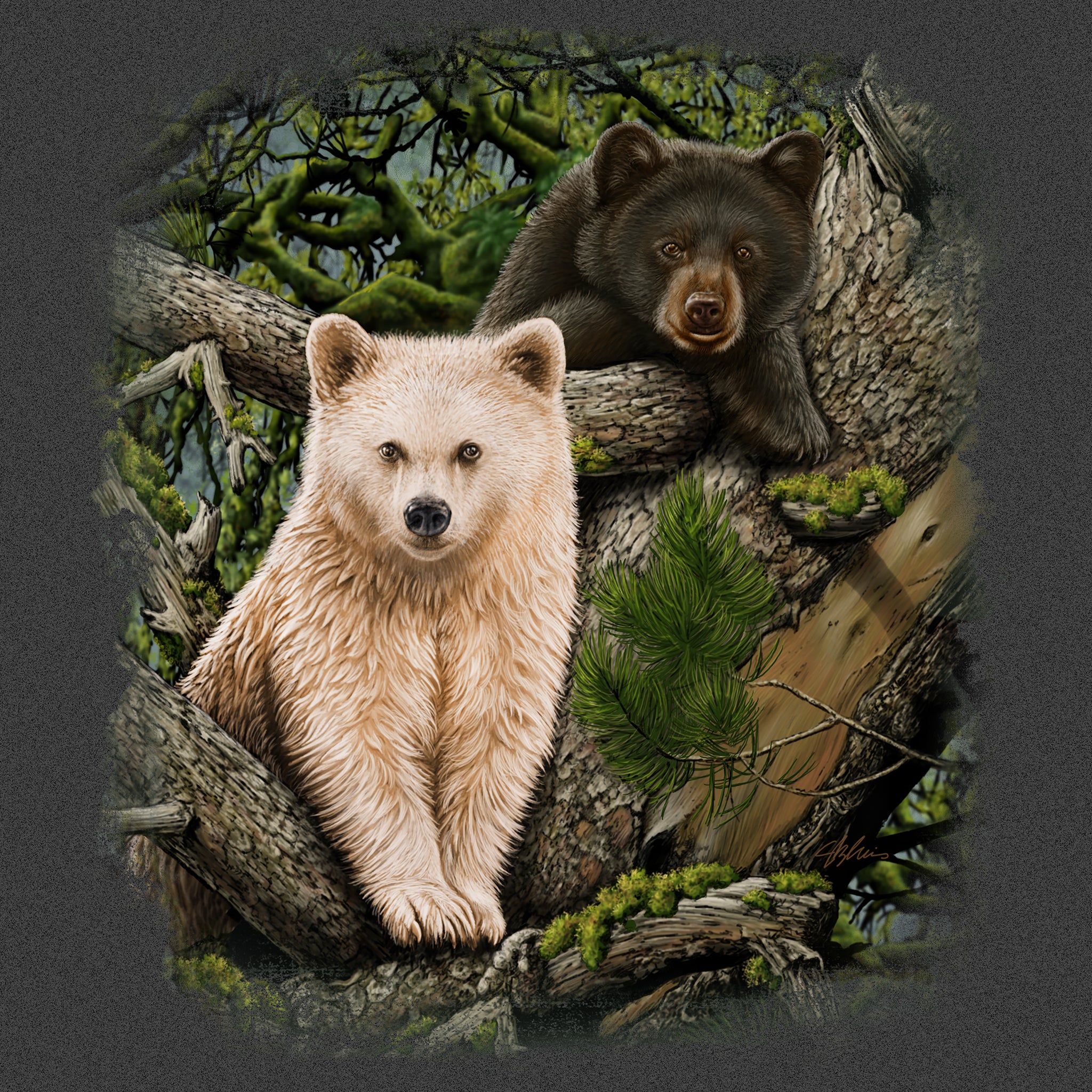 Kermode Brothers- painting of 2 bear cubs in a tree