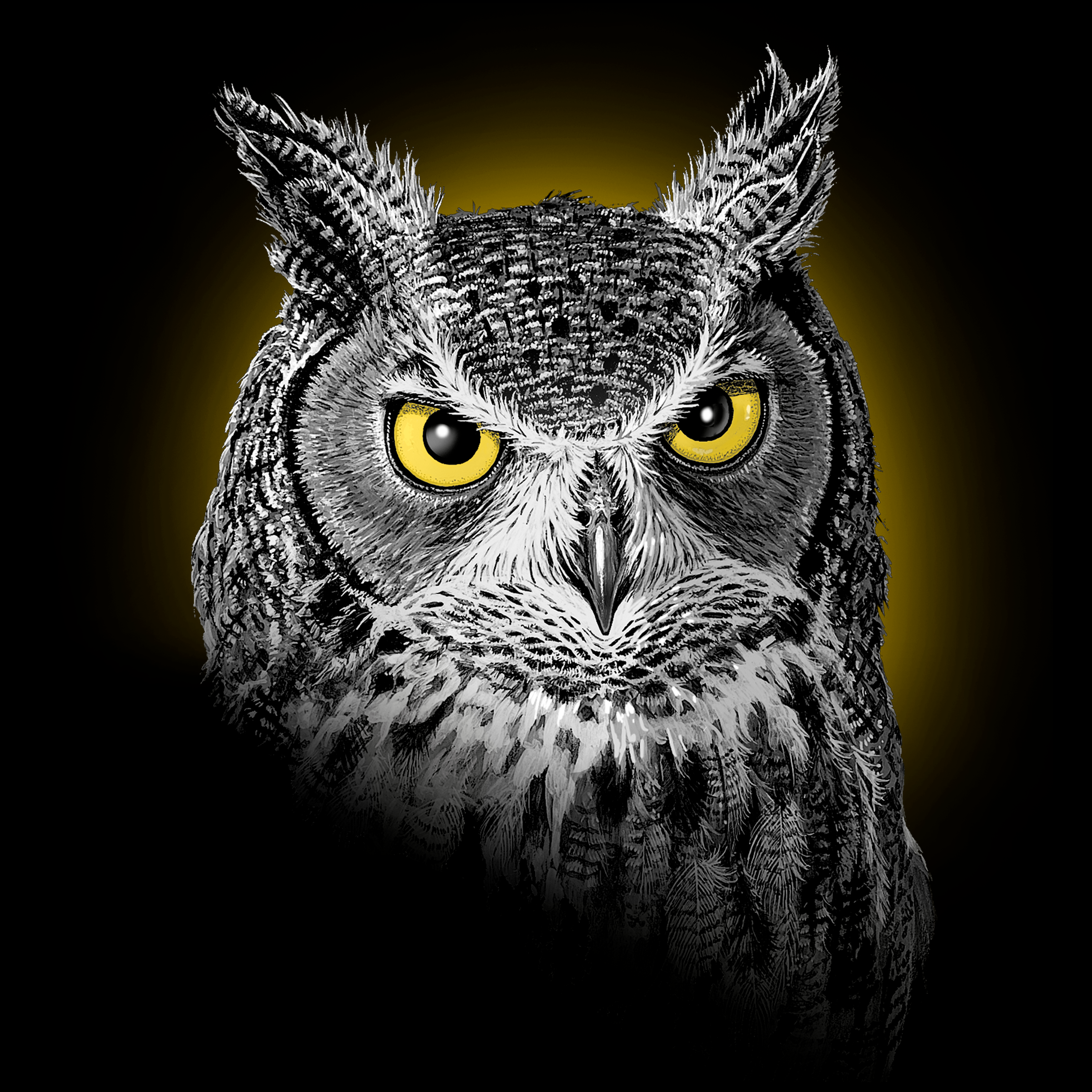 Adult Owl Portrait T-Shirt