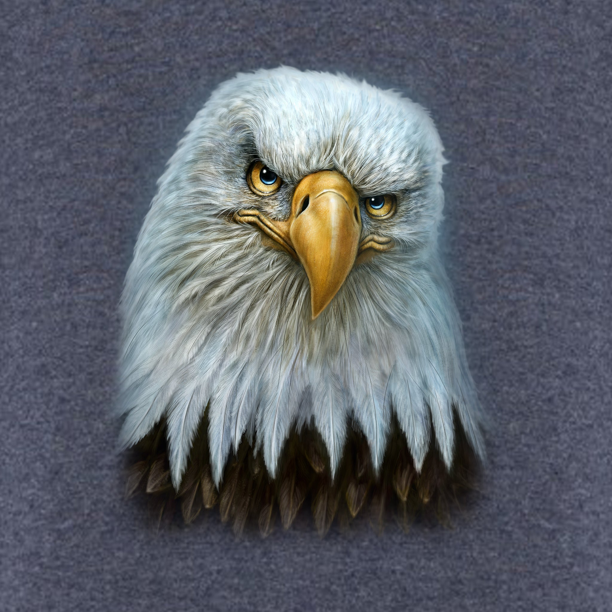 Youth Eagle Totem T-Shirt