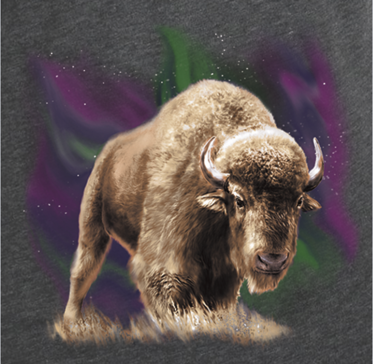 Light Show Bison- Artwork of bison standing under the northern lights