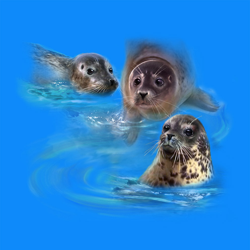 Harbour Seals by Robert Campbell - painting of 3 harbour seals swimming  