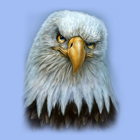 Eagle Totem by Patrick LaMontagne - painting of an eagle with attitude