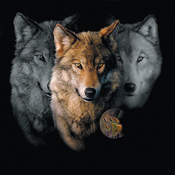 Wolf Trilogy by Robert Campbell -  Painting of three wolf heads with paw imprint 